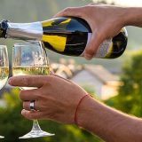 Champagne e Spumanti: Come Scegliere il Vino Frizzante Perfetto